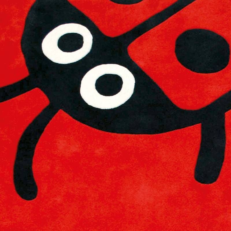 Interior designer choosing rug colours