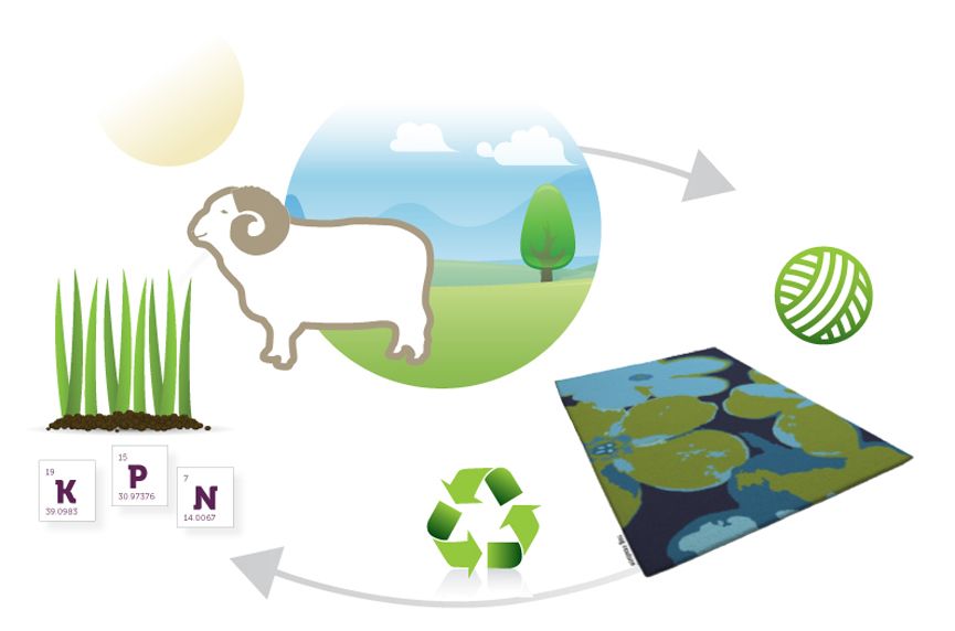 Benefits of wool rugs