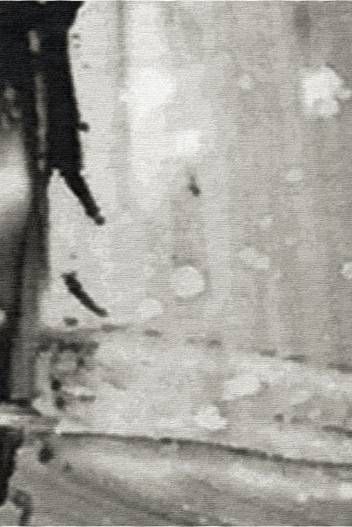 Black Jay by Jeff Muhs Rug by Runway Gallery