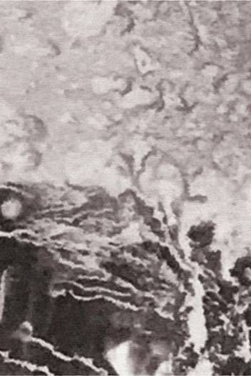 Hierophany is Jeff Muhs Rug by Runway Gallery