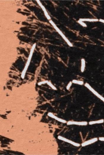 Femme by Ant Pearce Rug by Runway Gallery