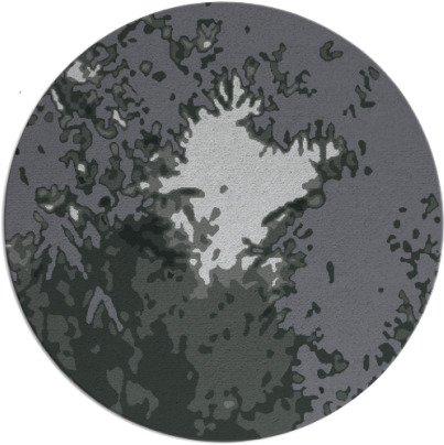 celebration rug - item 1026178