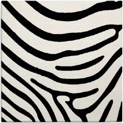 proud zebra rug - item 1135459