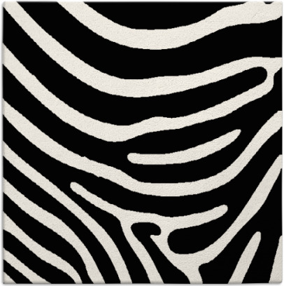 proud zebra rug - item 1135460