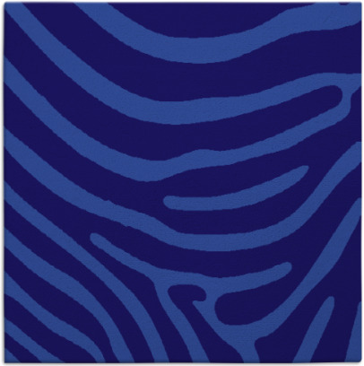proud zebra rug - item 1135555