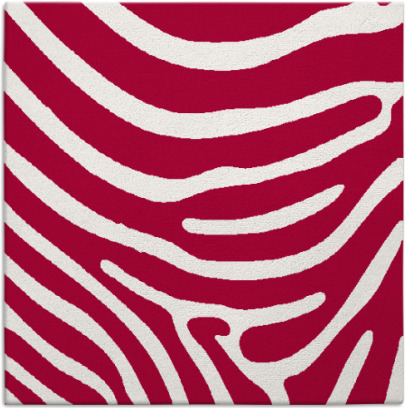 proud zebra rug - item 1135572