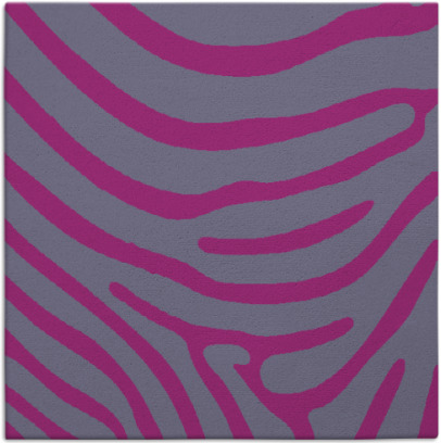 proud zebra rug - item 1135623