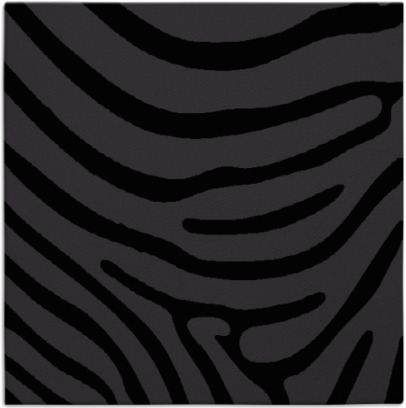 proud zebra rug - item 1135746