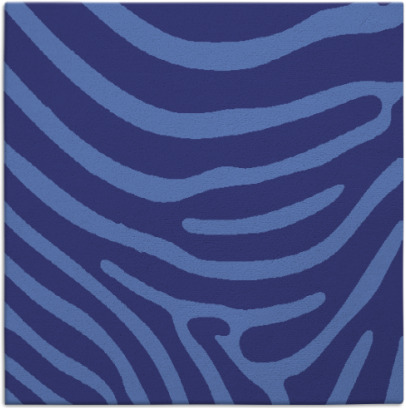 proud zebra rug - item 1135753