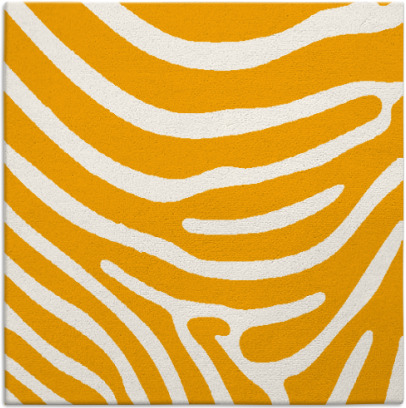 proud zebra rug - item 1135808