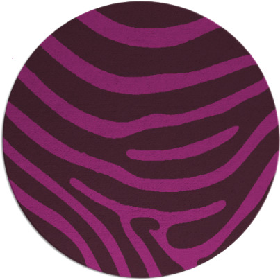 proud zebra rug - item 1136642