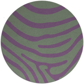 Proud Zebra Rug