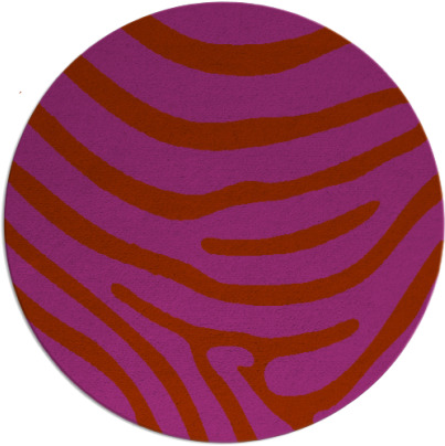proud zebra rug - item 1136829