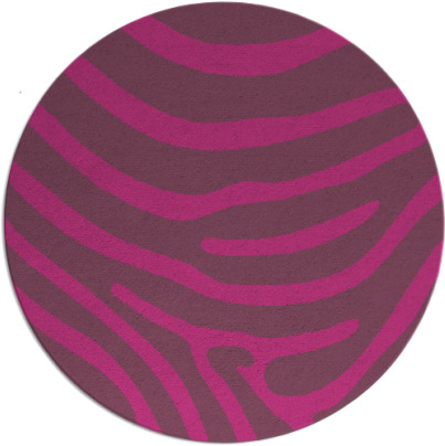 proud zebra rug - item 1136906