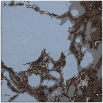 decay rug - item 1297544