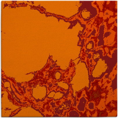 decay rug - item 1297702