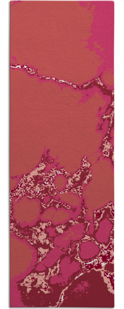 decay rug - item 1299149