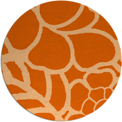 clara rug - item 223181