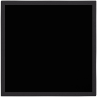 edge rug - item 369980