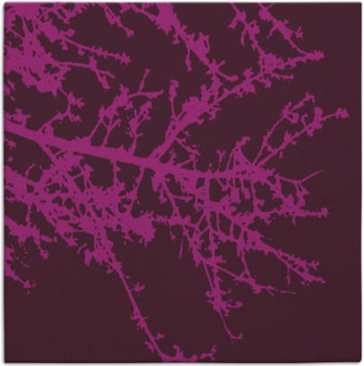 spruce rug - item 492971