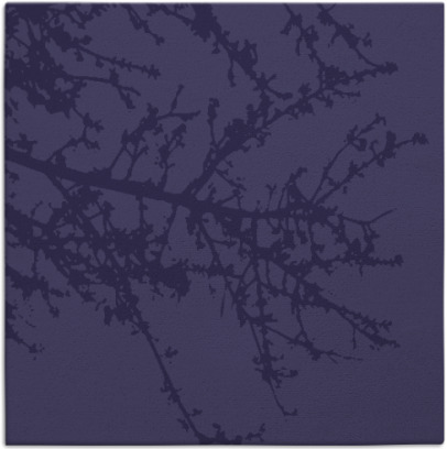 spruce rug - item 492992