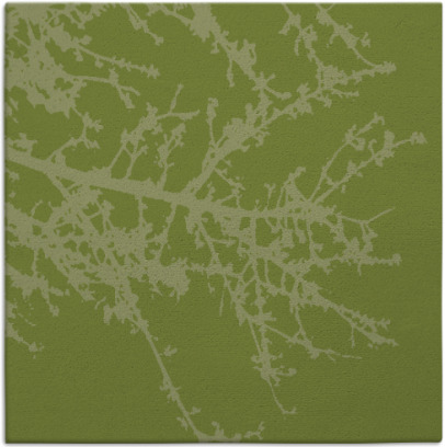 spruce rug - item 493032