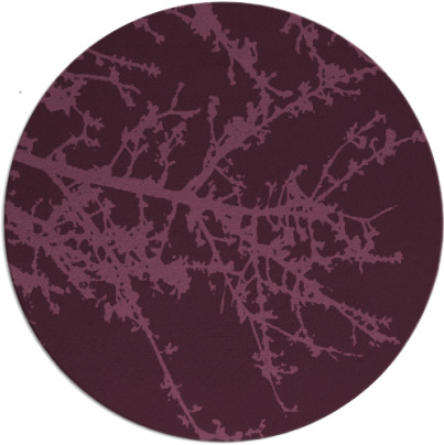 spruce rug - item 494124