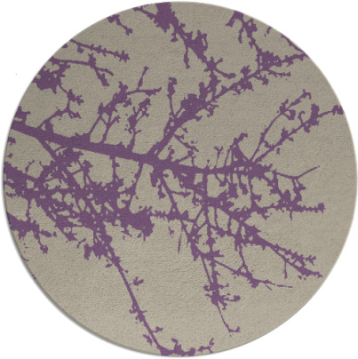 spruce rug - item 494141