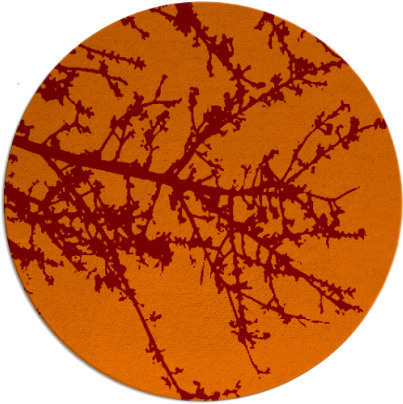 spruce rug - item 494149