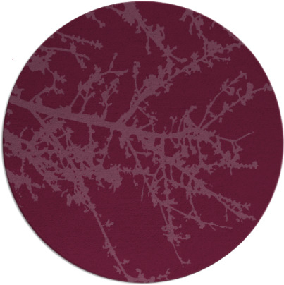 spruce rug - item 494187