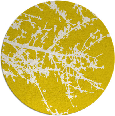 spruce rug - item 494238