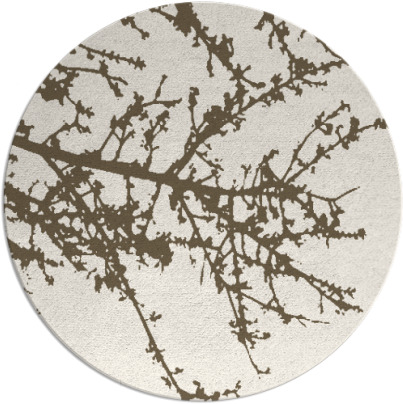 spruce rug - item 494256