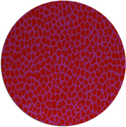 tunya rug - item 511814