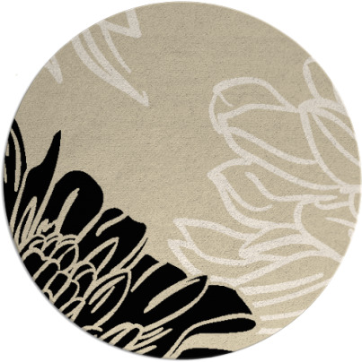 asha rug - item 657720