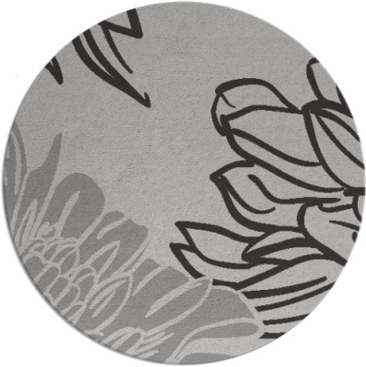 asha rug - item 657843
