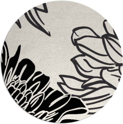 asha rug - item 657914