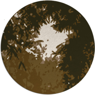 celebration rug - item 773958