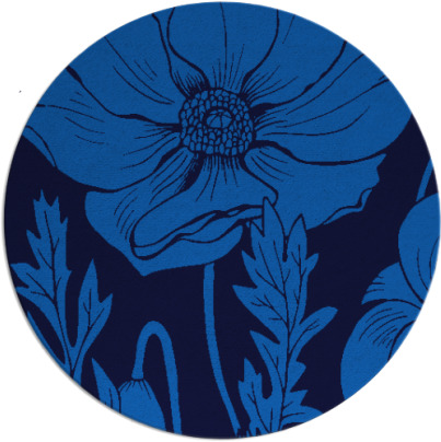 spirited rug - item 930678