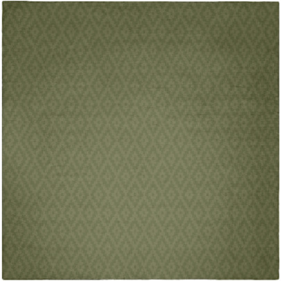 kiowa small fw rug - item 185593
